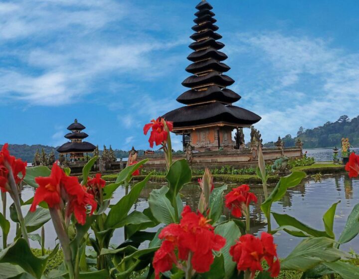Bedugul